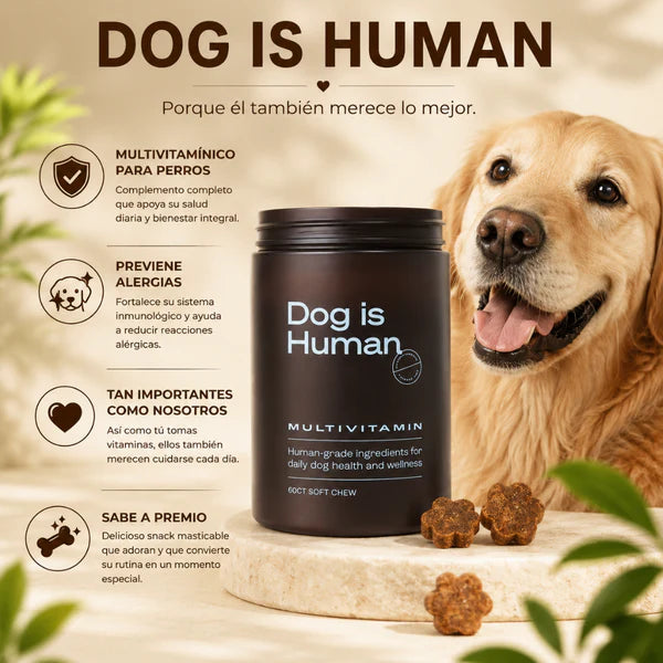 (55% Descuento) Dog Vita+™ | Apoya las Articulaciones, la Digestión y las Defensas