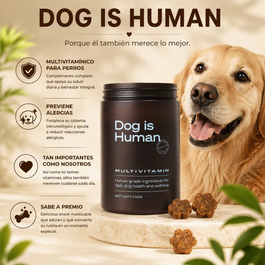(55% Descuento) Dog Vita+™ | Apoya las Articulaciones, la Digestión y las Defensas