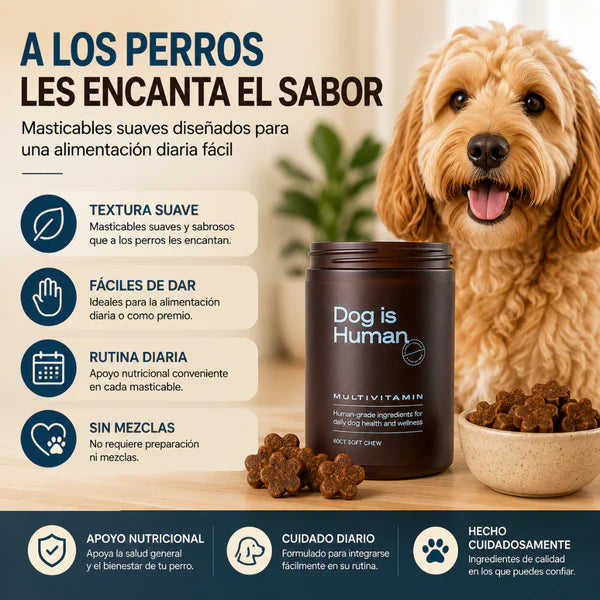 (55% Descuento) Dog Vita+™ | Apoya las Articulaciones, la Digestión y las Defensas