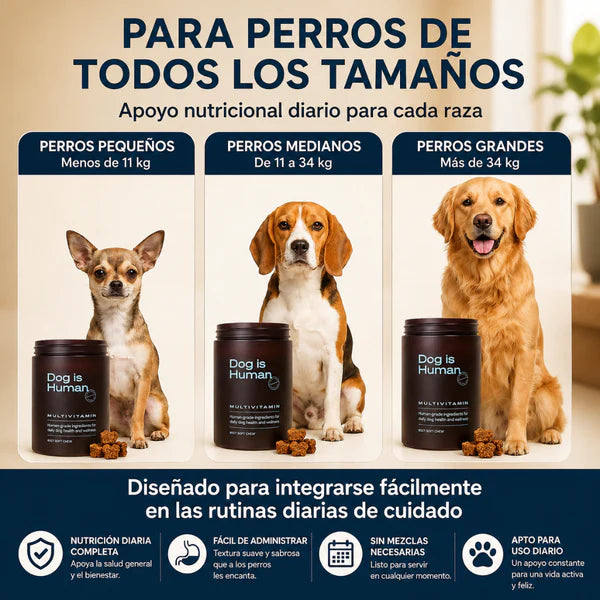(55% Descuento) Dog Vita+™ | Apoya las Articulaciones, la Digestión y las Defensas