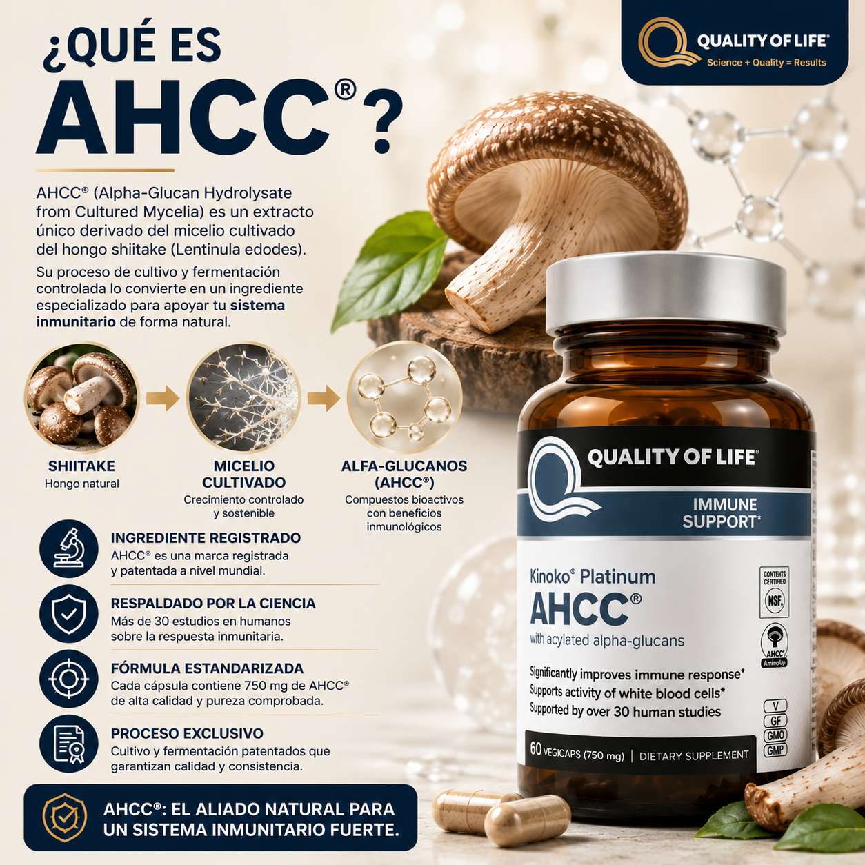 (55% DESCUENTO) Kinoko Platinum AHCC® | Apoya tus Defensas y Fortalece tu Sistema Inmunitario Natural